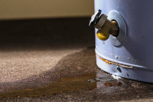 Best Local water damage restoration  in Griffin, GA