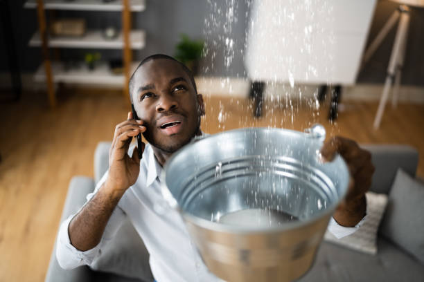 Best Fire Damage Restoration  in Griffin, GA