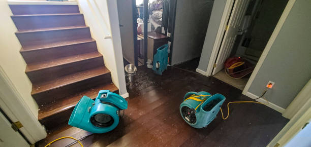 Best Emergency water damage restoration  in Griffin, GA