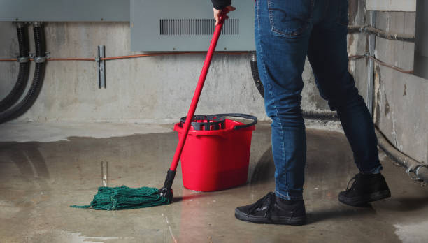 Best Mold removal after water damage  in Griffin, GA