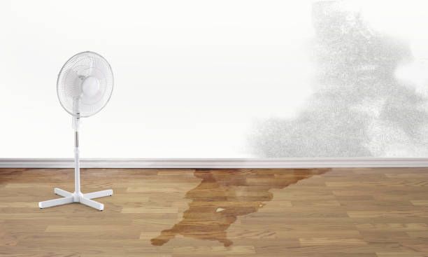 Best Local water damage restoration  in Griffin, GA
