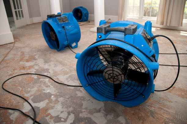 Best Water damage restoration specialists  in Griffin, GA