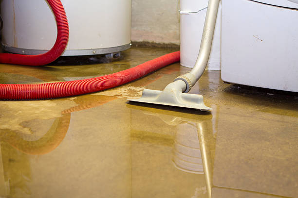 Best Residential water damage restoration  in Griffin, GA